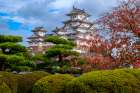 Himeji Castle, Himeji, Japan Art Print